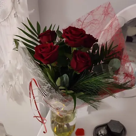 Ange Ou Demon, Jacuzzi, Sauna, Room, Location A La Journee Prázdninový dům Benfeld