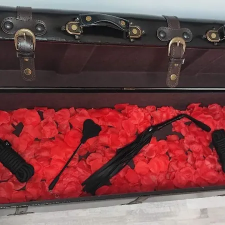 Ange Ou Demon, Jacuzzi, Sauna, Room, Location A La Journee Prázdninový dům Benfeld